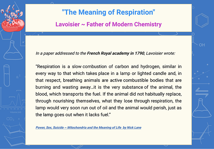 The Meaning of Respiration - Lavoisier ~ Father of Modern Chemistry