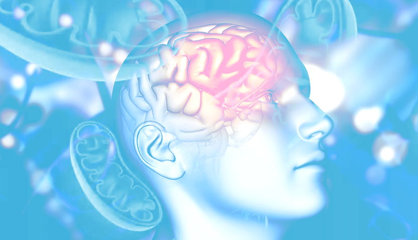 Mitochondrial Dysfunction and Neurodevelopmental Disorders