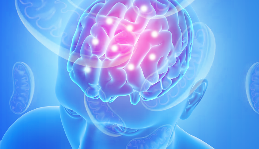 Mitochondrial Dysfunction and Neuropsychiatric Disorders