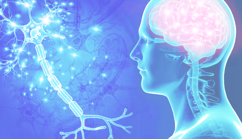 Mitochondrial Dysfunction in Neurodegenerative Disorders